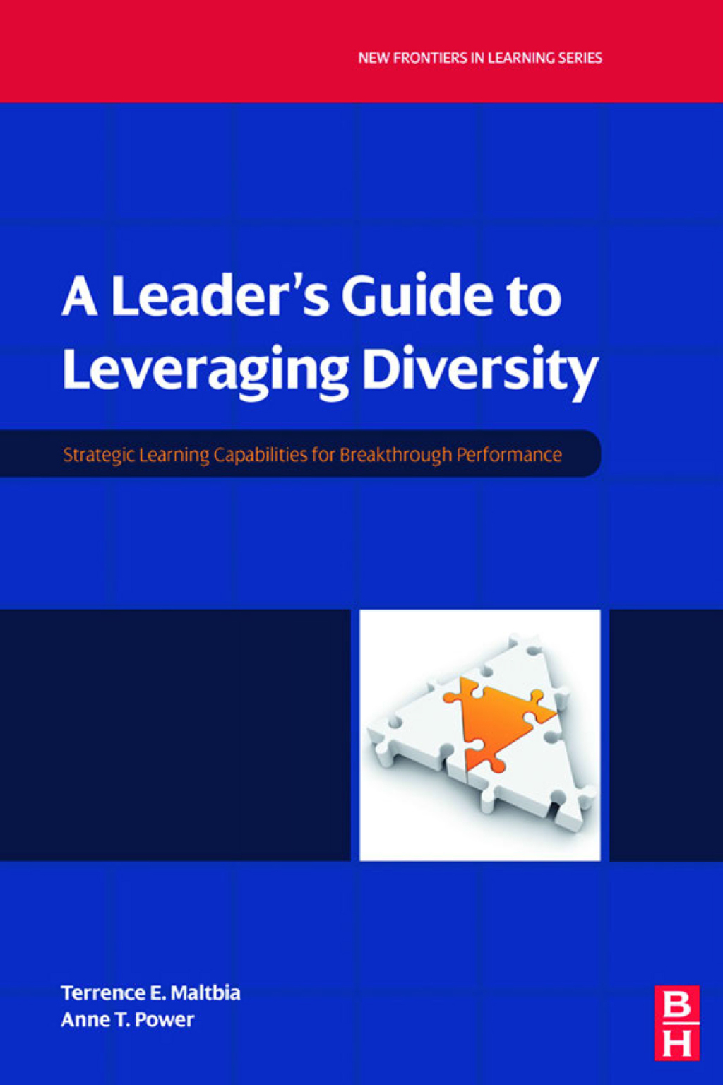 A Leader's Guide to Leveraging Diversity 1st Edition