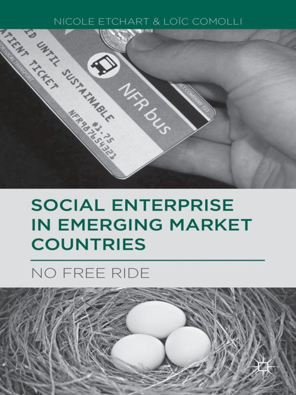 Social Enterprise in Emerging Market Countries No Free Ride 