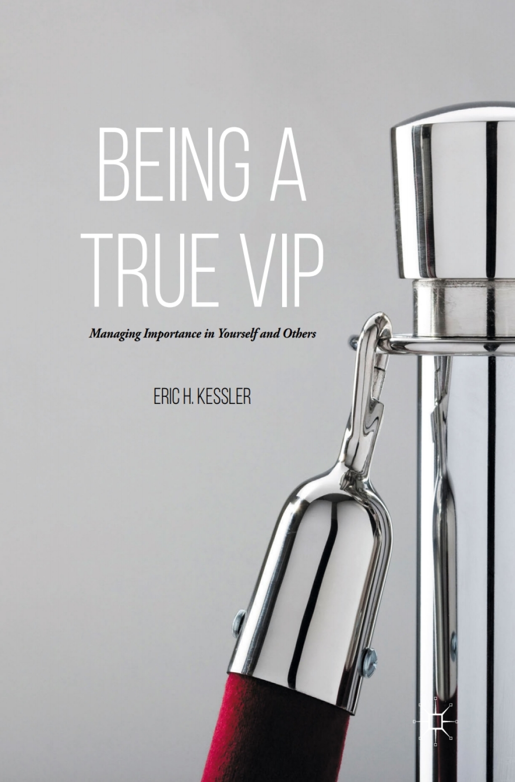 Being a True VIP Managing Importance in Yourself and Others 