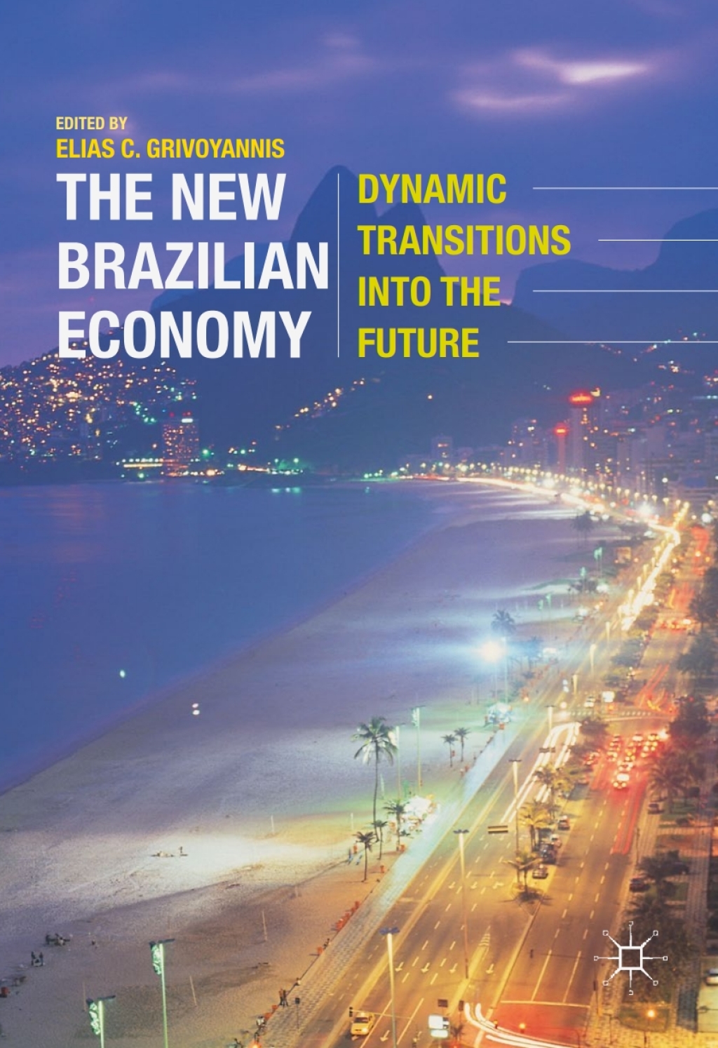 The New Brazilian Economy Dynamic Transitions into the Future 