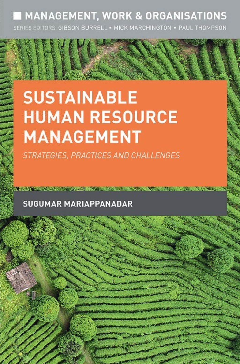 Sustainable Human Resource Management Strategies, Practices and Challenges 1st Edition