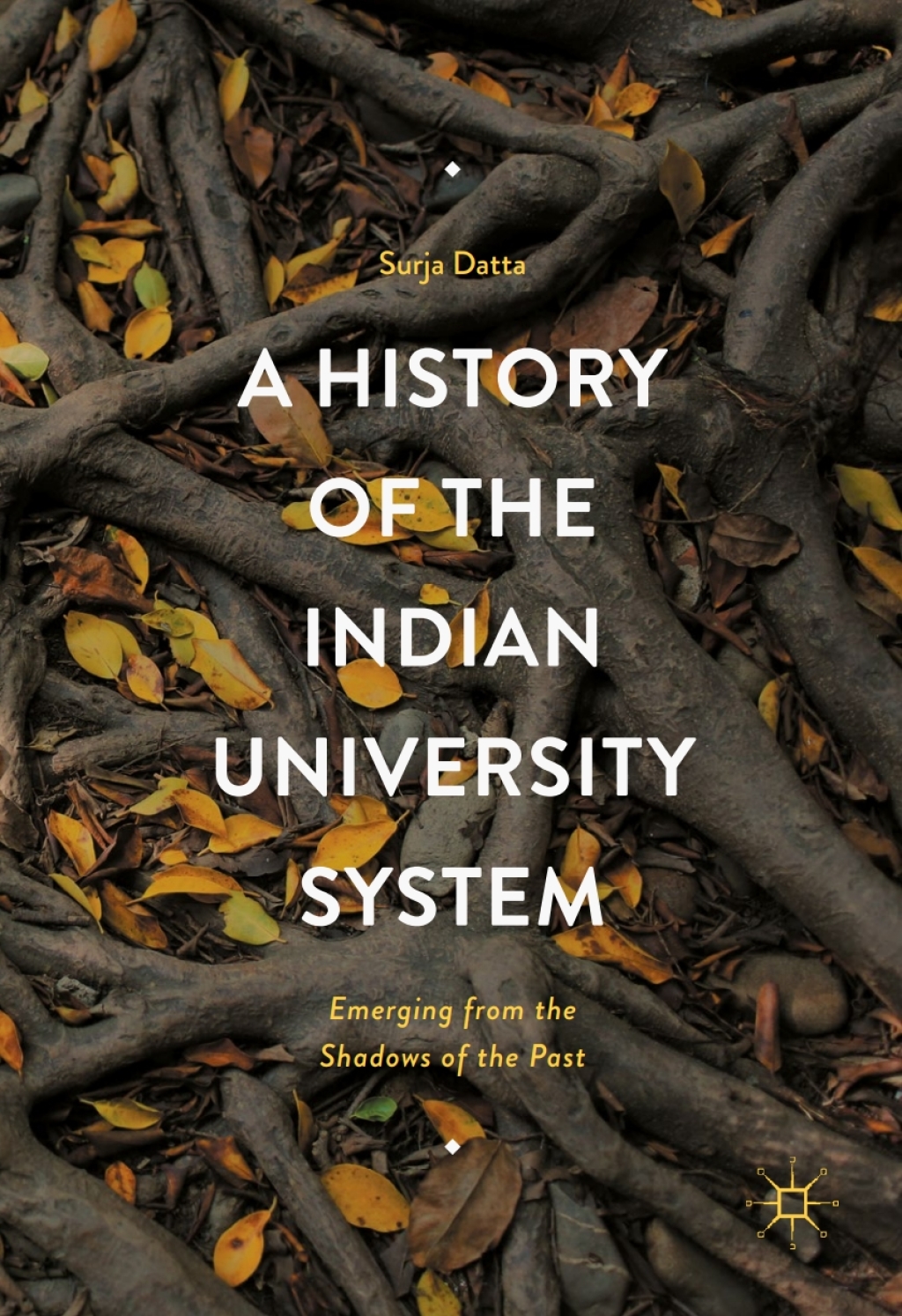 A History of the Indian University System Emerging from the Shadows of the Past 