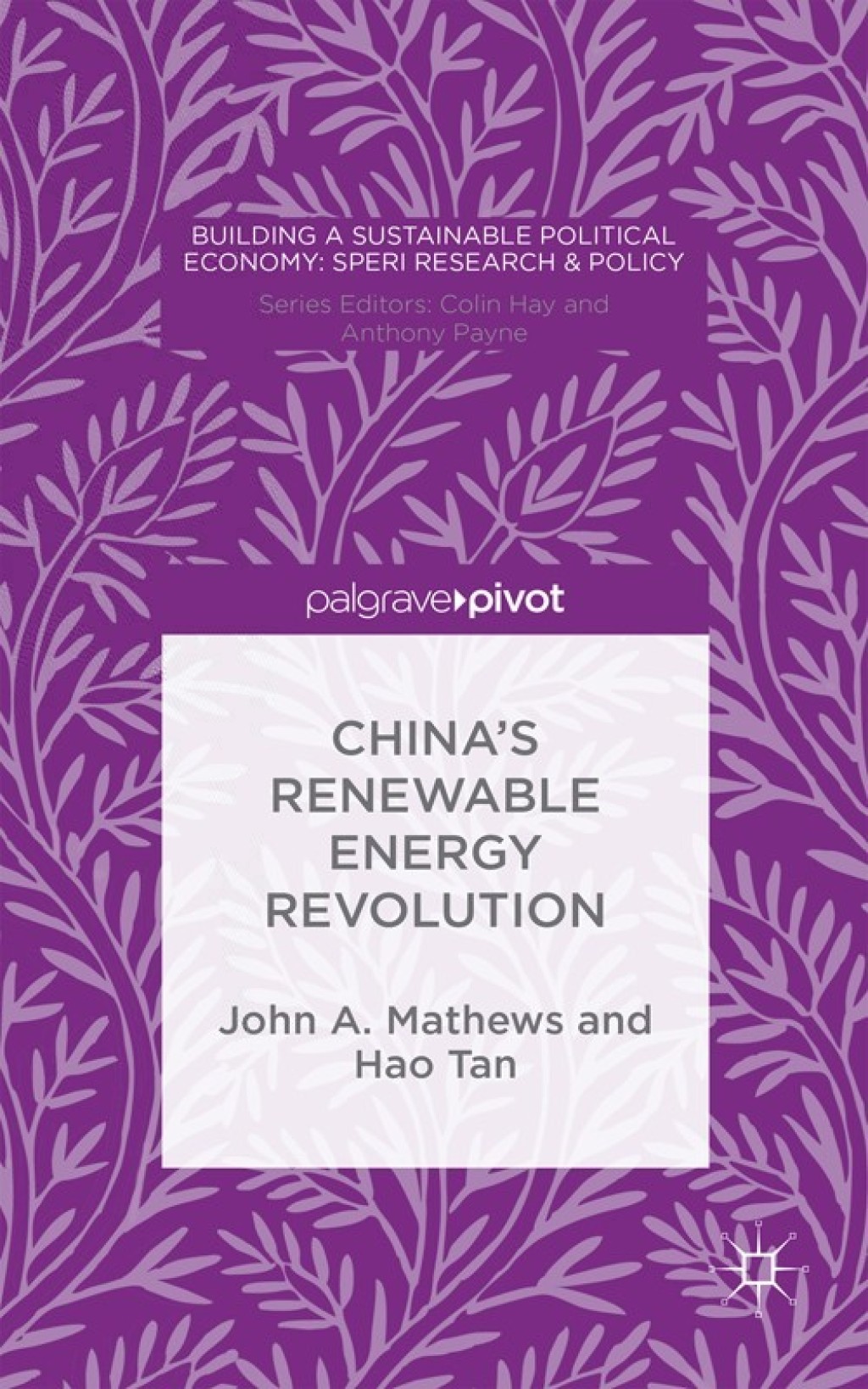 ChinaÃ¢â‚¬Å¡Ãƒâ€žÃƒÂ¶Ã¢Ë†Å¡Ãƒâ€˜Ã¢Ë†Å¡Ã‚Â¥s Renewable Energy Revolution 