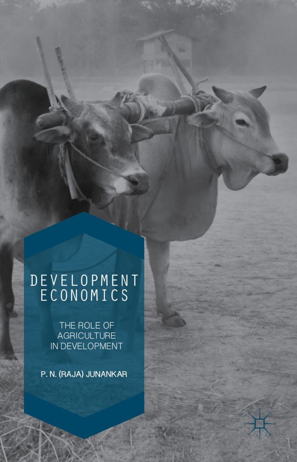 Development Economics The Role of Agriculture in Development 