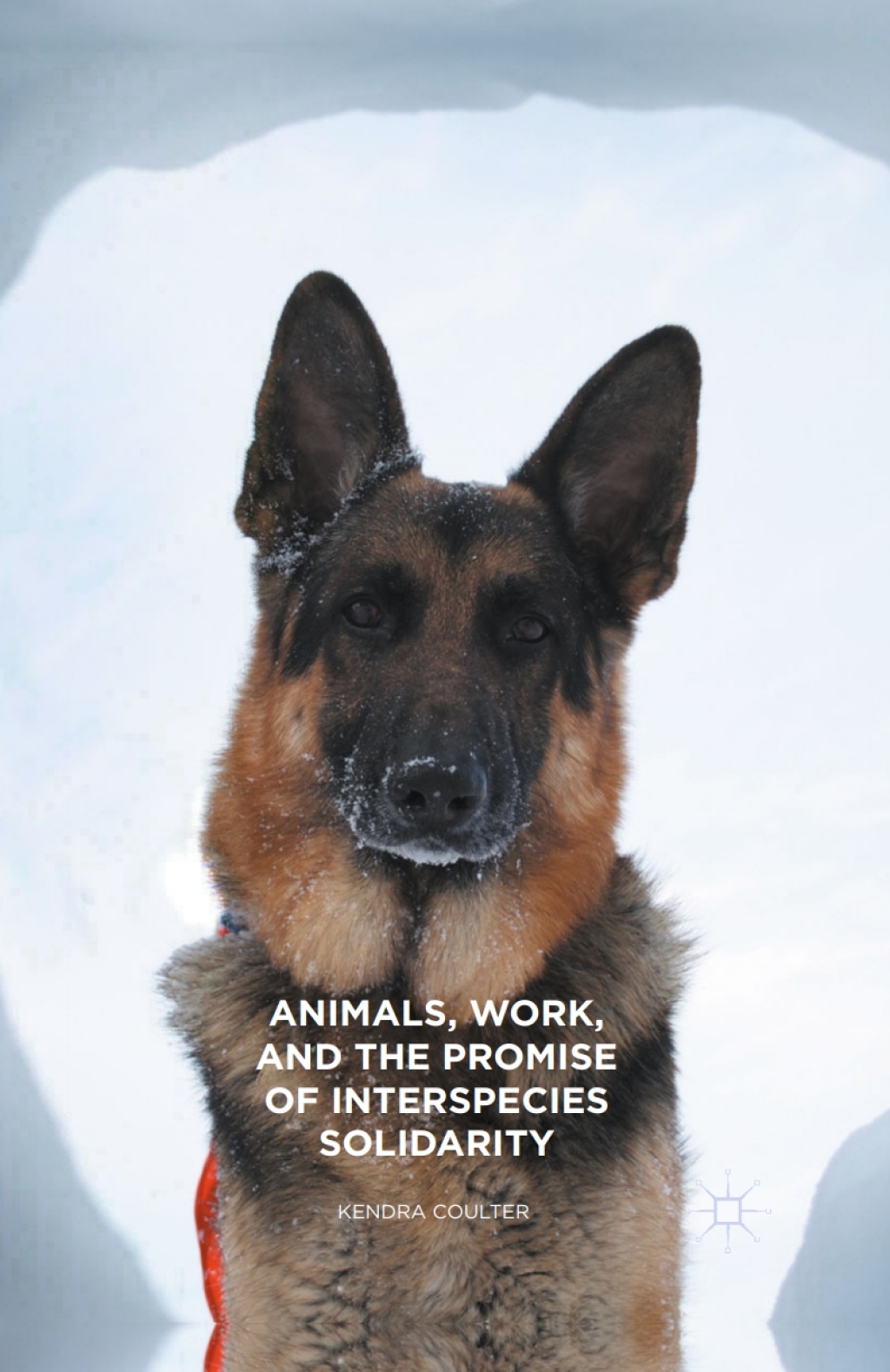 Animals, Work, and the Promise of Interspecies Solidarity 