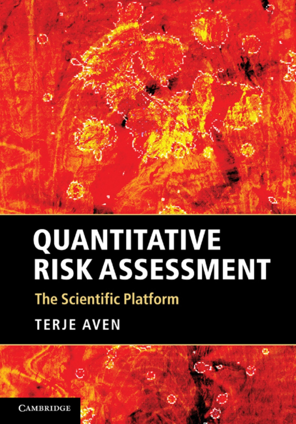 Quantitative Risk Assessment The Scientific Platform 