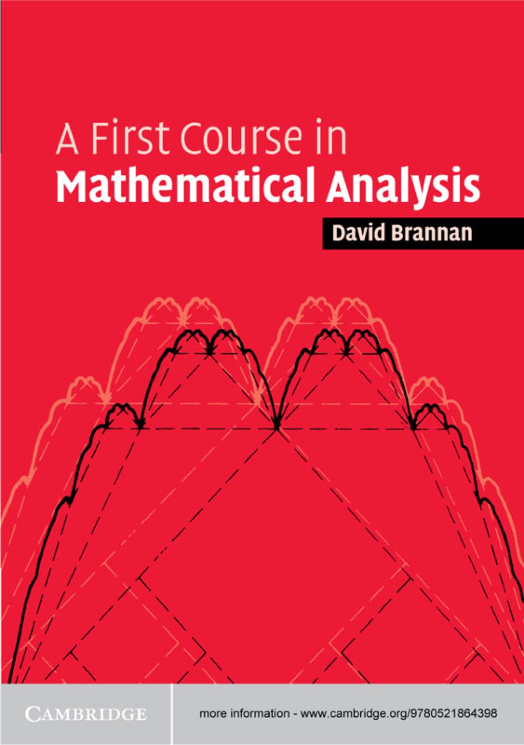 A First Course in Mathematical Analysis 1st Edition