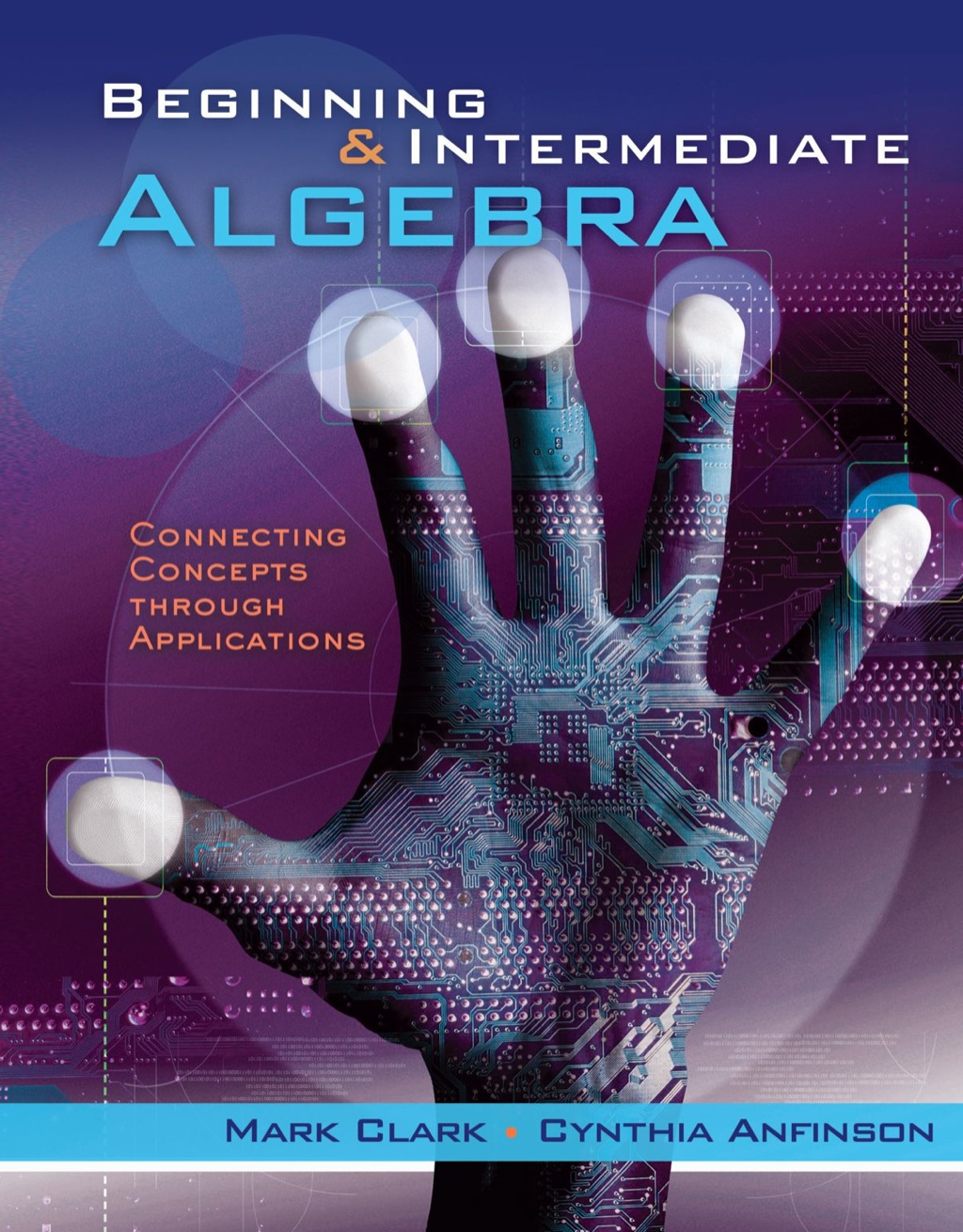 Beginning and Intermediate Algebra 1st Edition