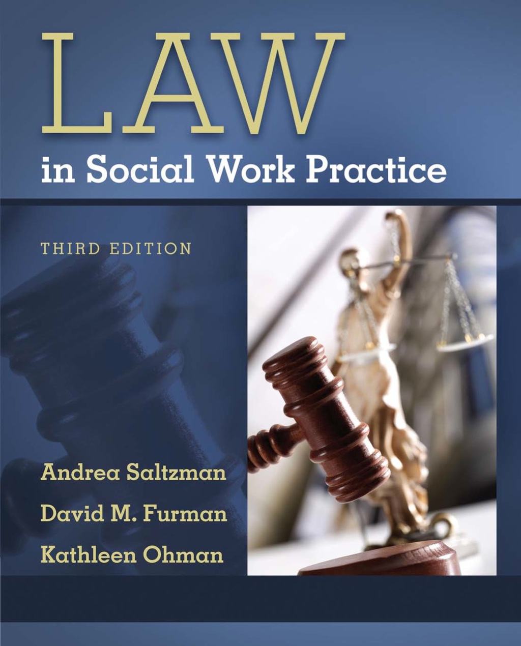 Law in Social Work Practice 3rd Edition