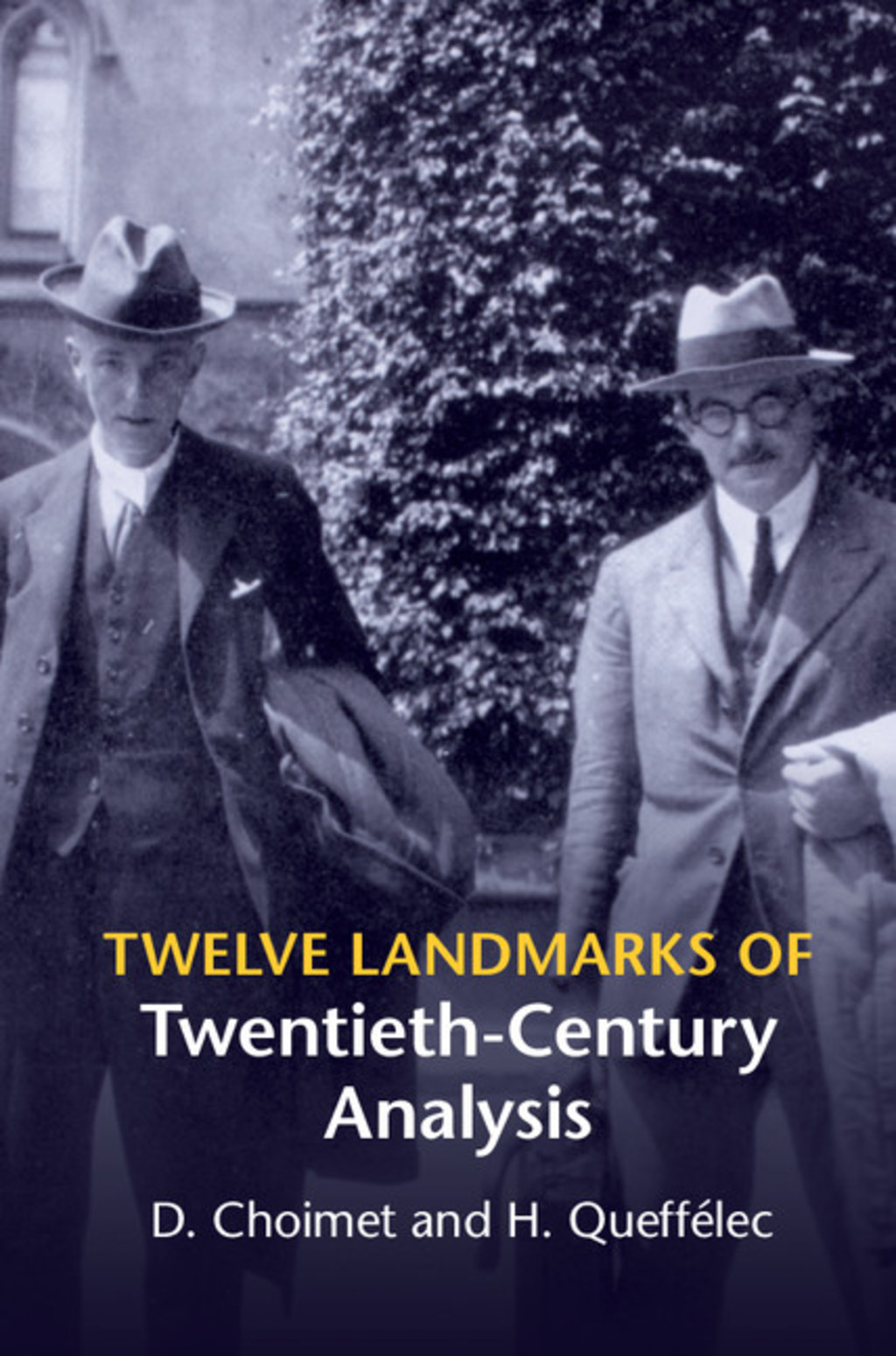 Twelve Landmarks of Twentieth-Century Analysis 1st Edition