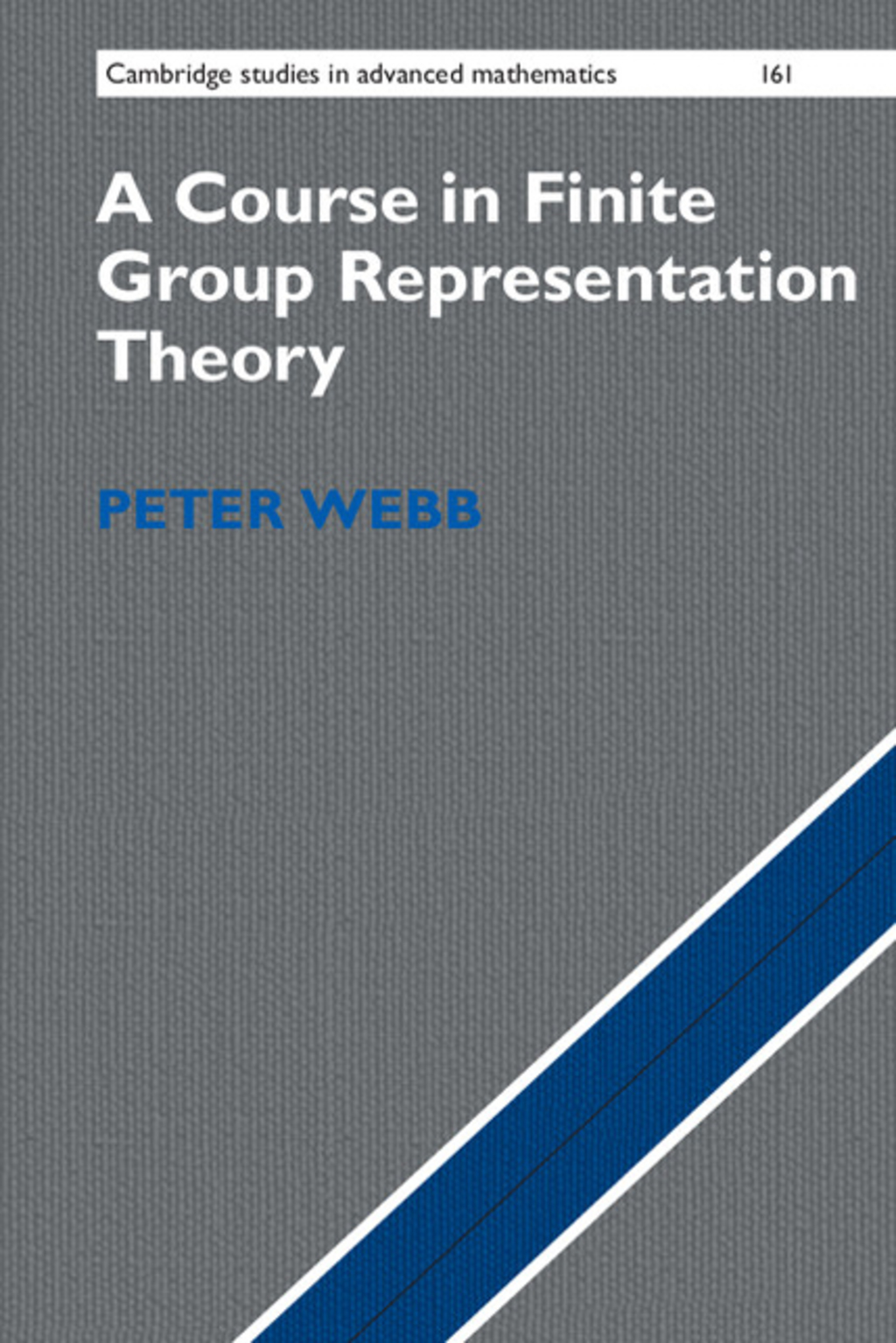 A Course in Finite Group Representation Theory 