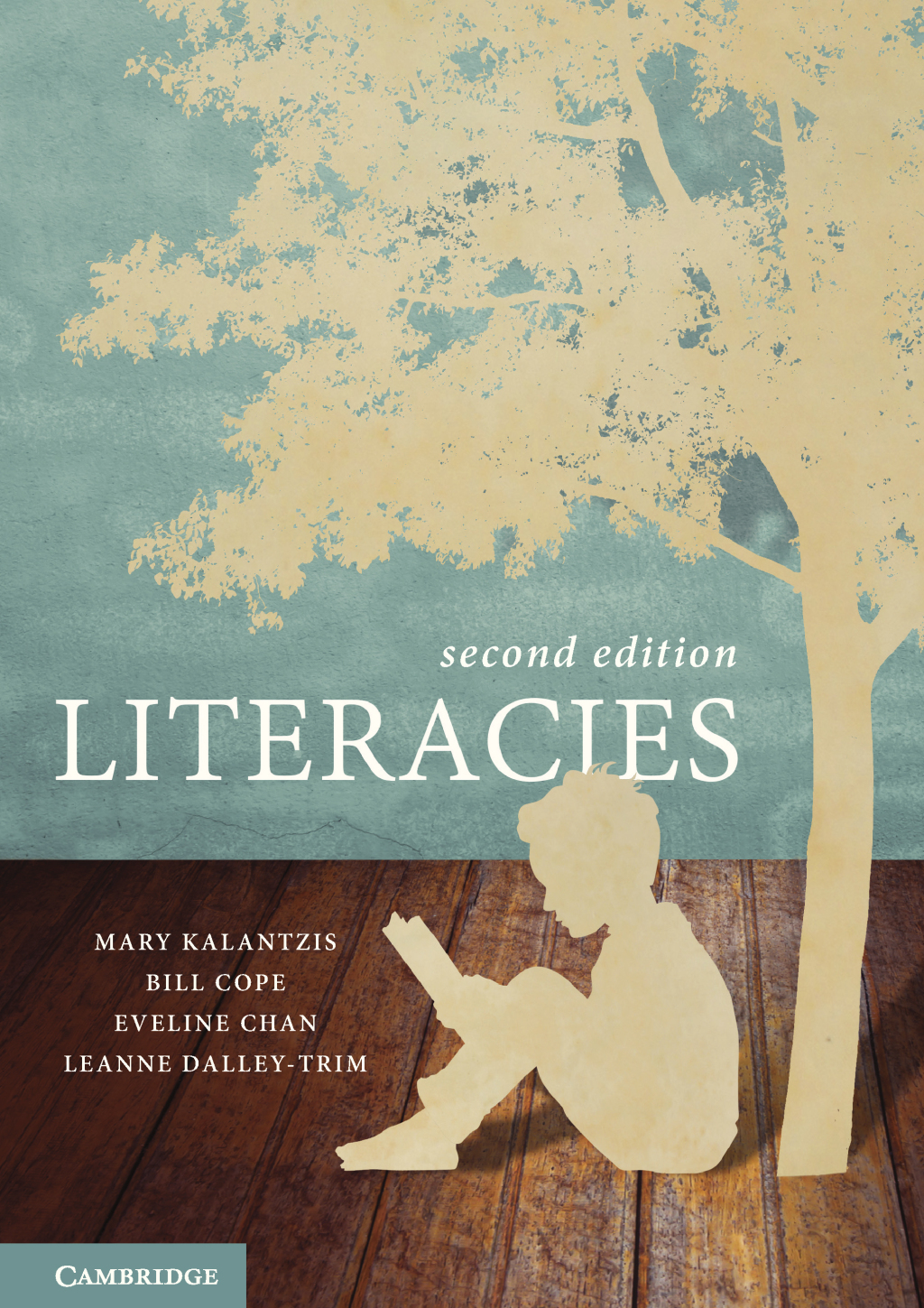Literacies 2nd Edition