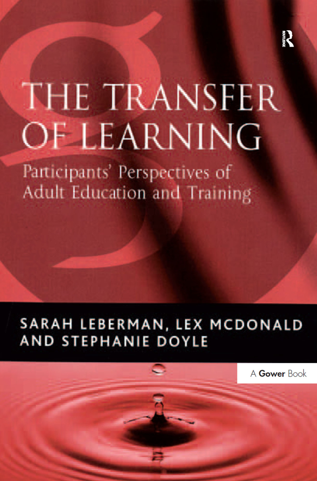 The Transfer of Learning Participants' Perspectives of Adult Education and Training 1st Edition