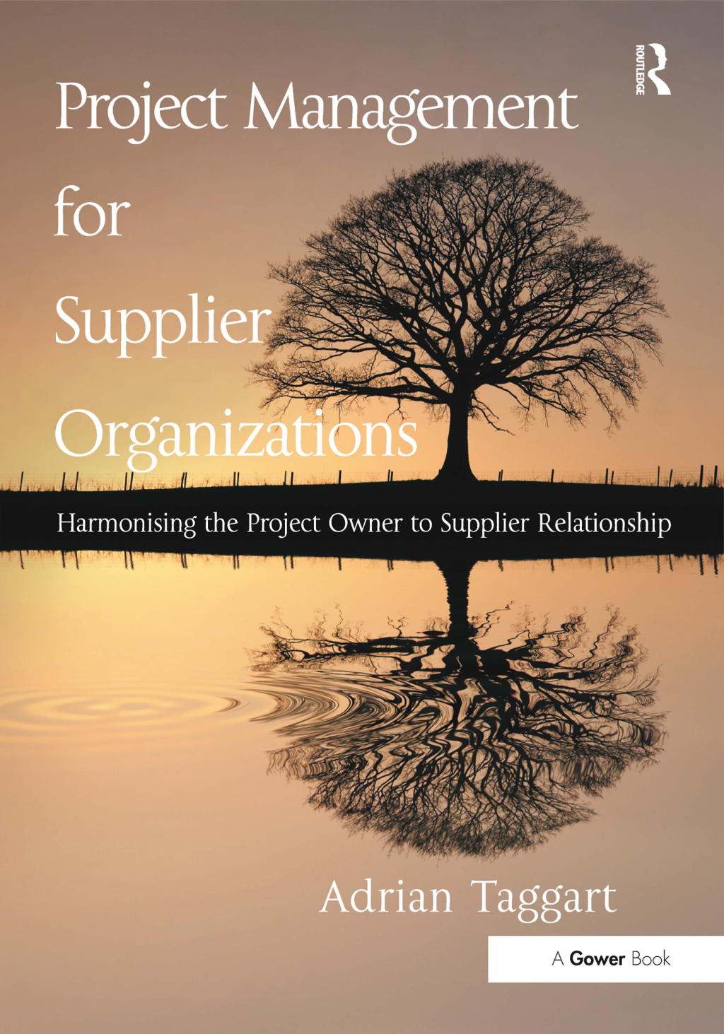 Project Management for Supplier Organizations Harmonising the Project Owner to Supplier Relationship 1st Edition