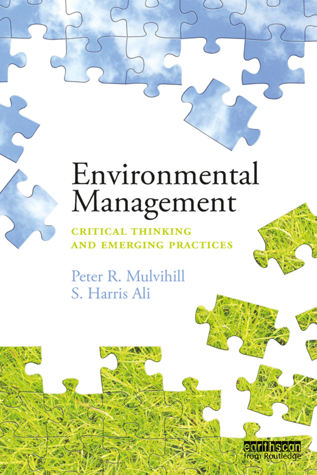 Environmental Management Critical thinking and emerging practices 1st Edition