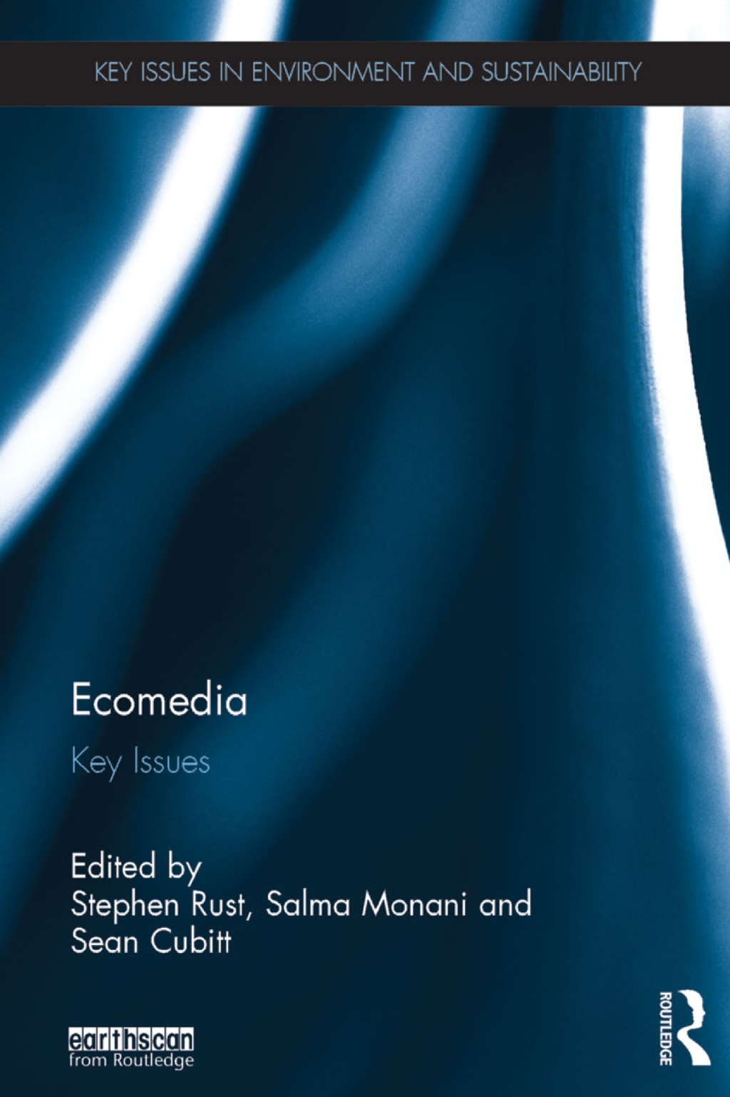 Ecomedia Key Issues 1st Edition
