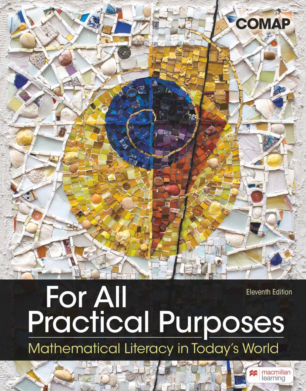 For All Practical Purposes Mathematical Literacy in Today's World 11th Edition