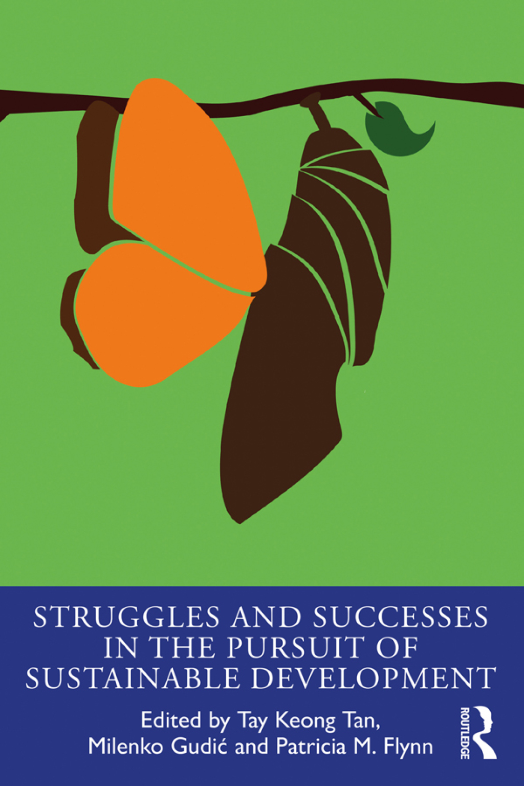 Struggles and Successes in the Pursuit of Sustainable Development 1st Edition
