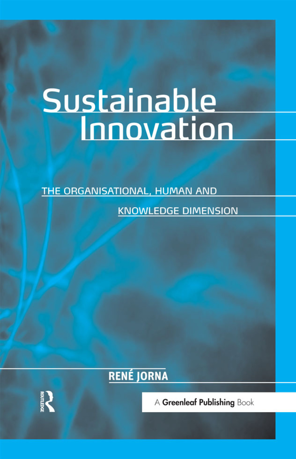 Sustainable Innovation The Organisational, Human and Knowledge Dimension 1st Edition