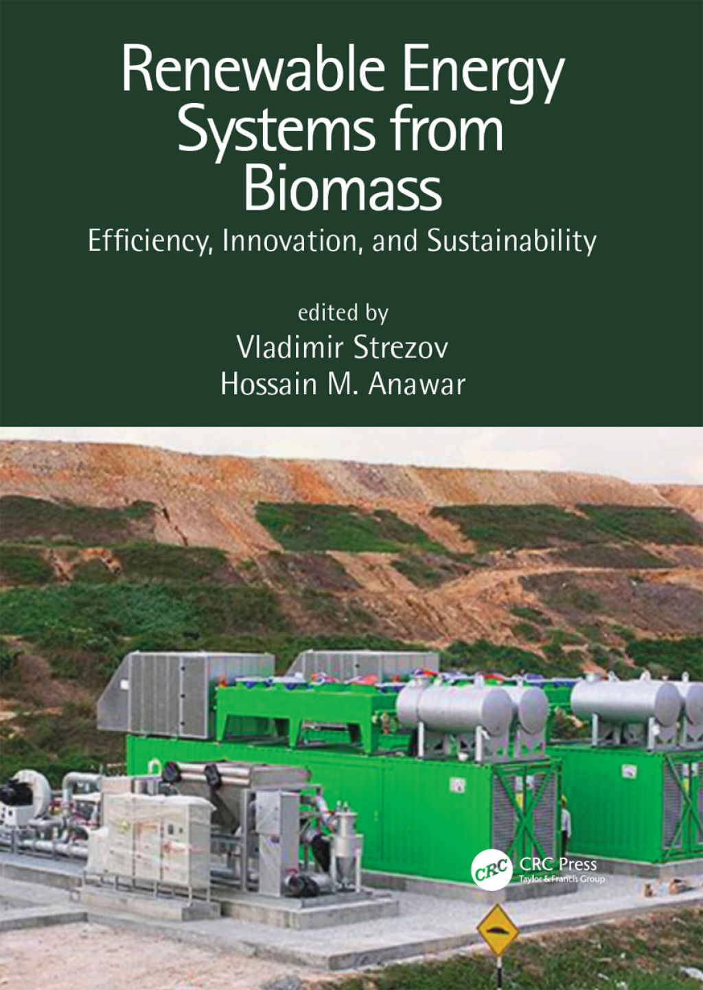 Renewable Energy Systems from Biomass Efficiency, Innovation and Sustainability 1st Edition