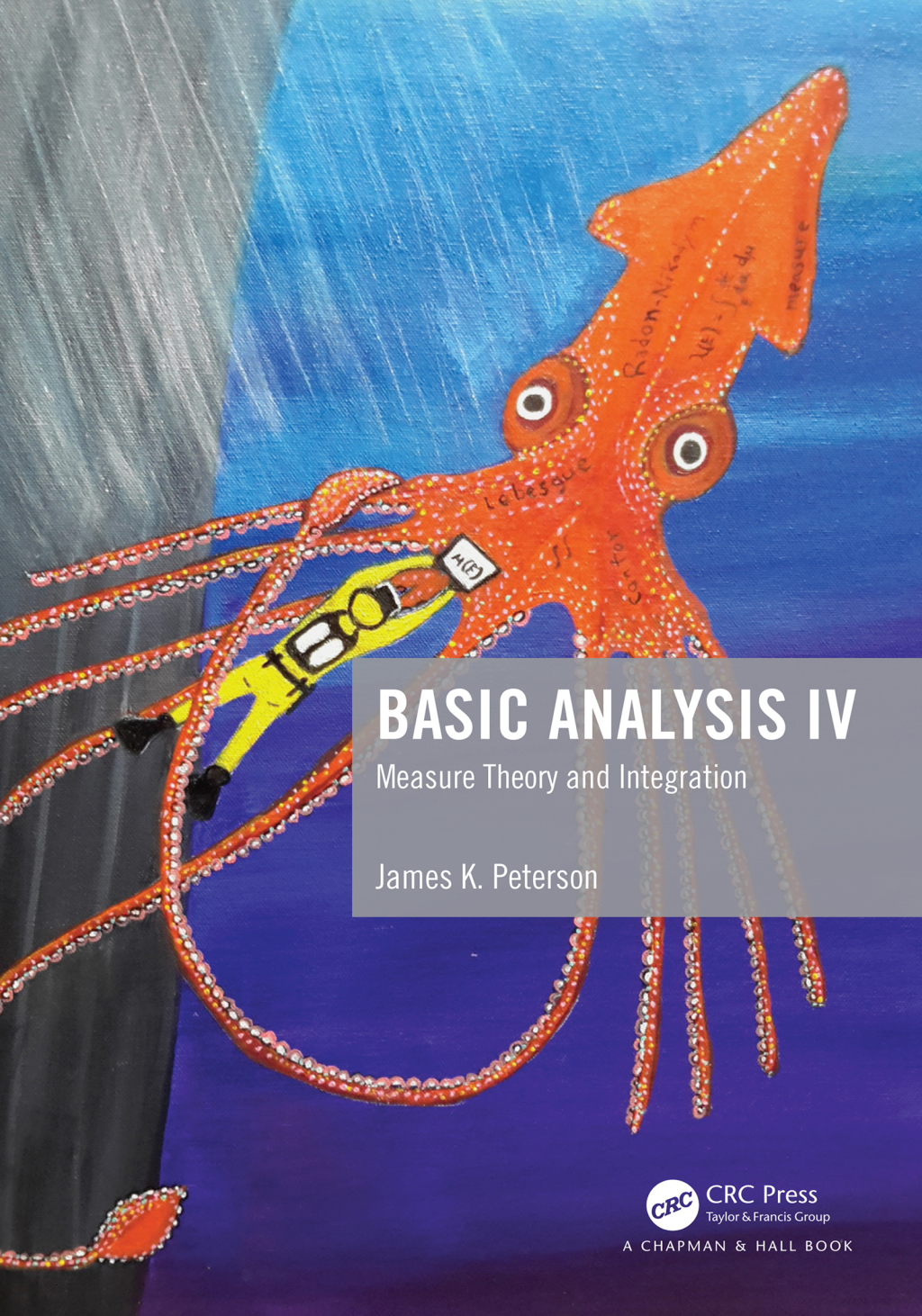 Basic Analysis IV Measure Theory and Integration 1st Edition