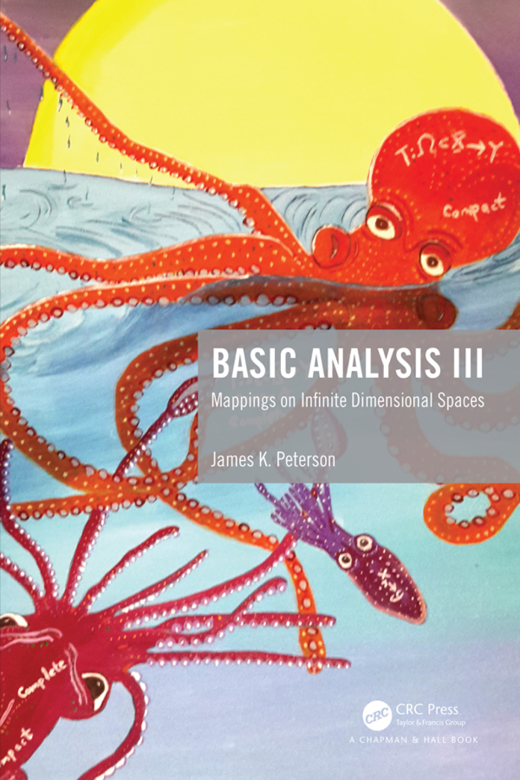 Basic Analysis III Mappings on Infinite Dimensional Spaces 1st Edition