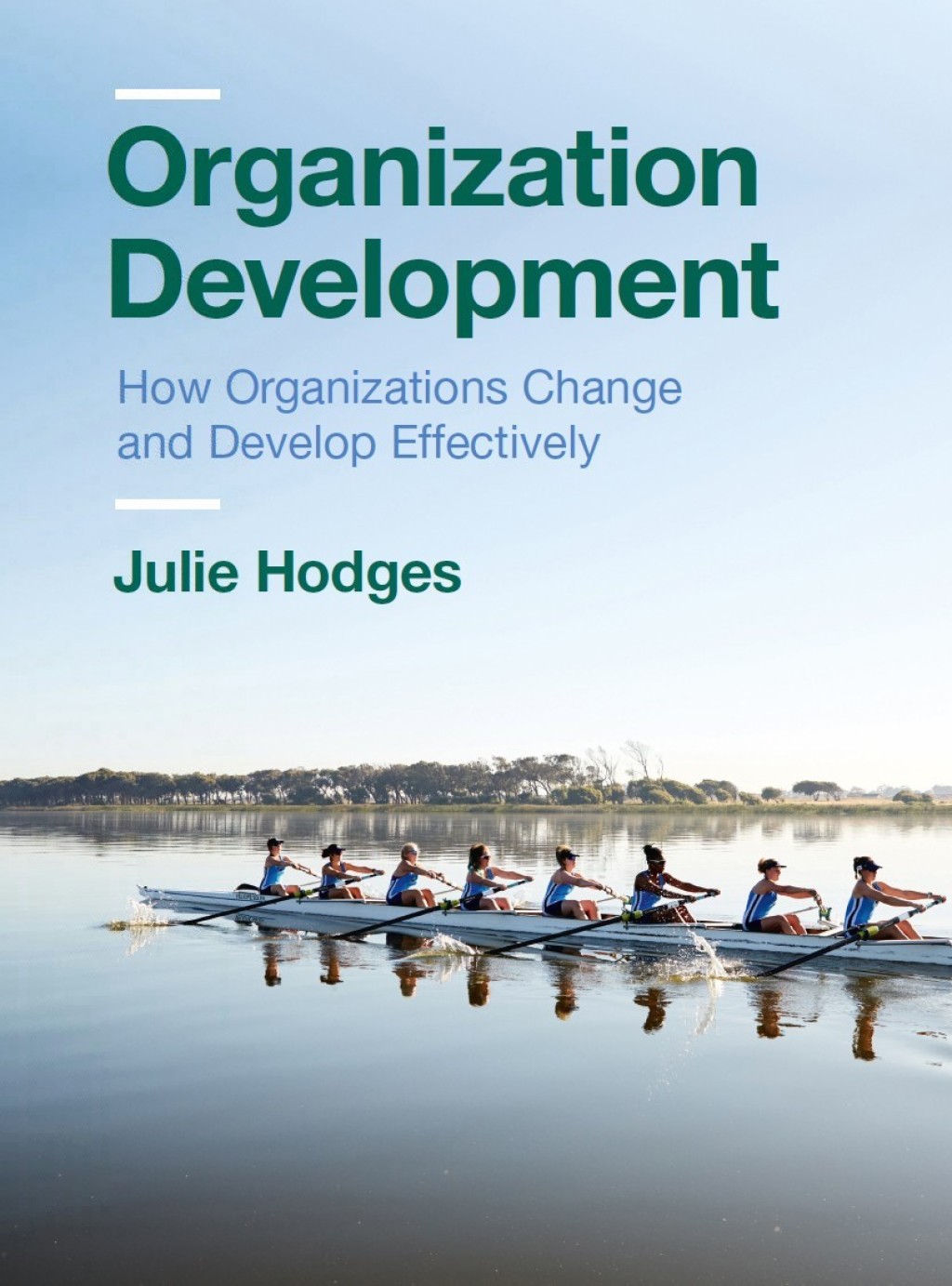Organization Development How Organizations Change and Develop Effectively 1st Edition
