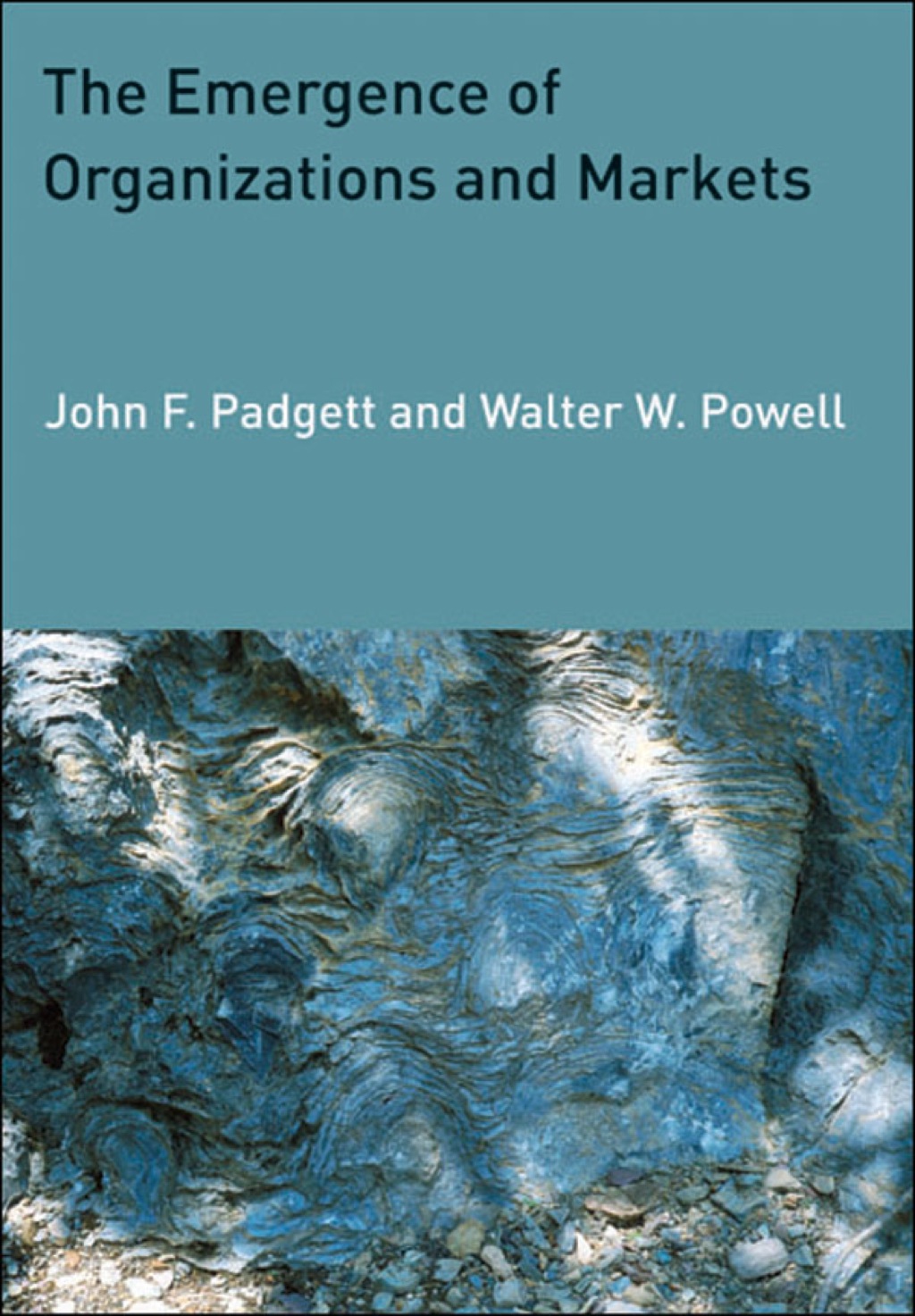 The Emergence of Organizations and Markets 
