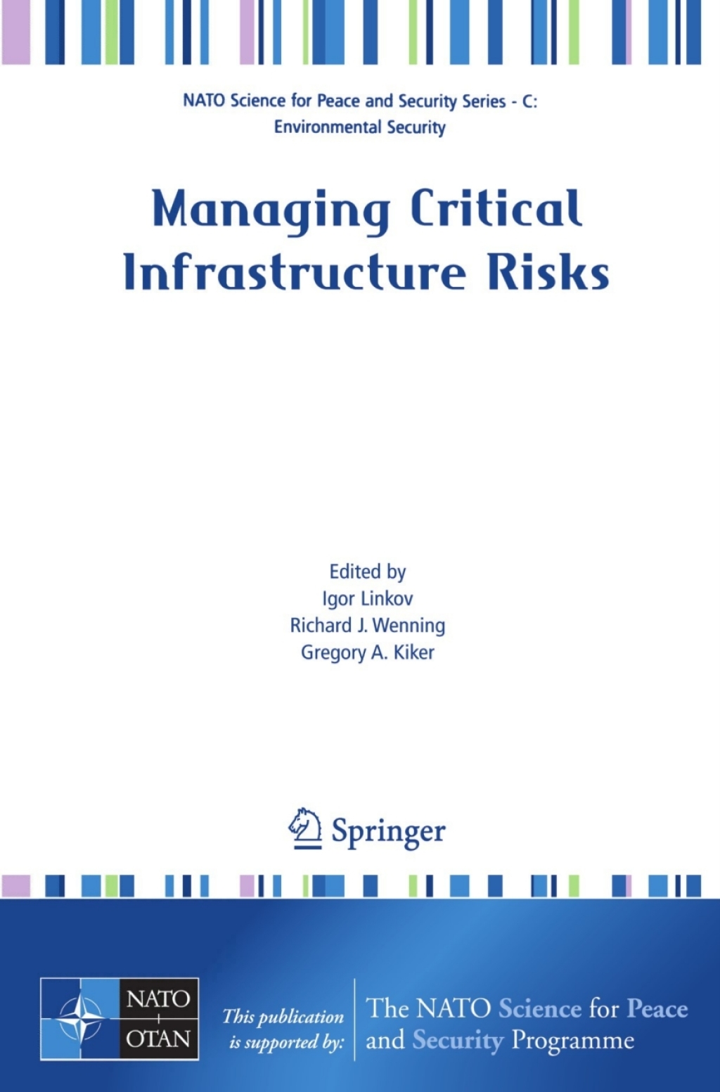 Managing Critical Infrastructure Risks 1st Edition