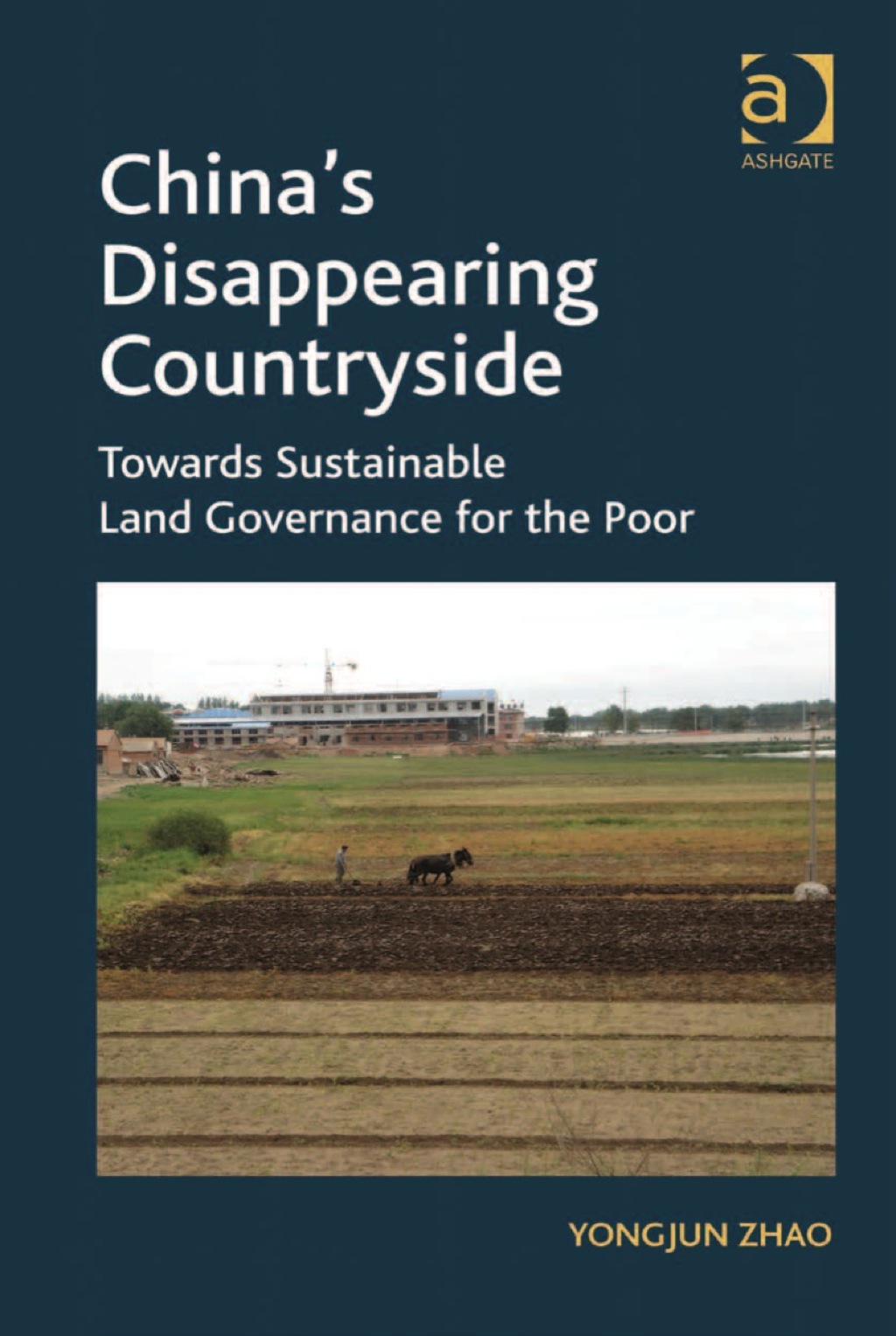 China's Disappearing Countryside: Towards Sustainable Land Governance for the Poor 