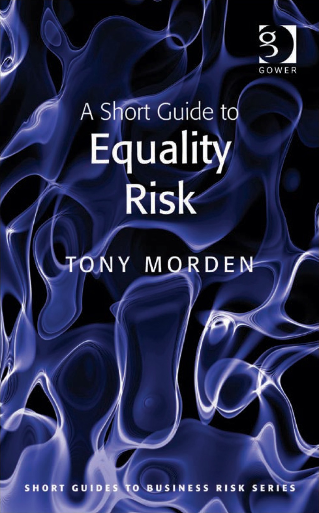 A Short Guide to Equality Risk 