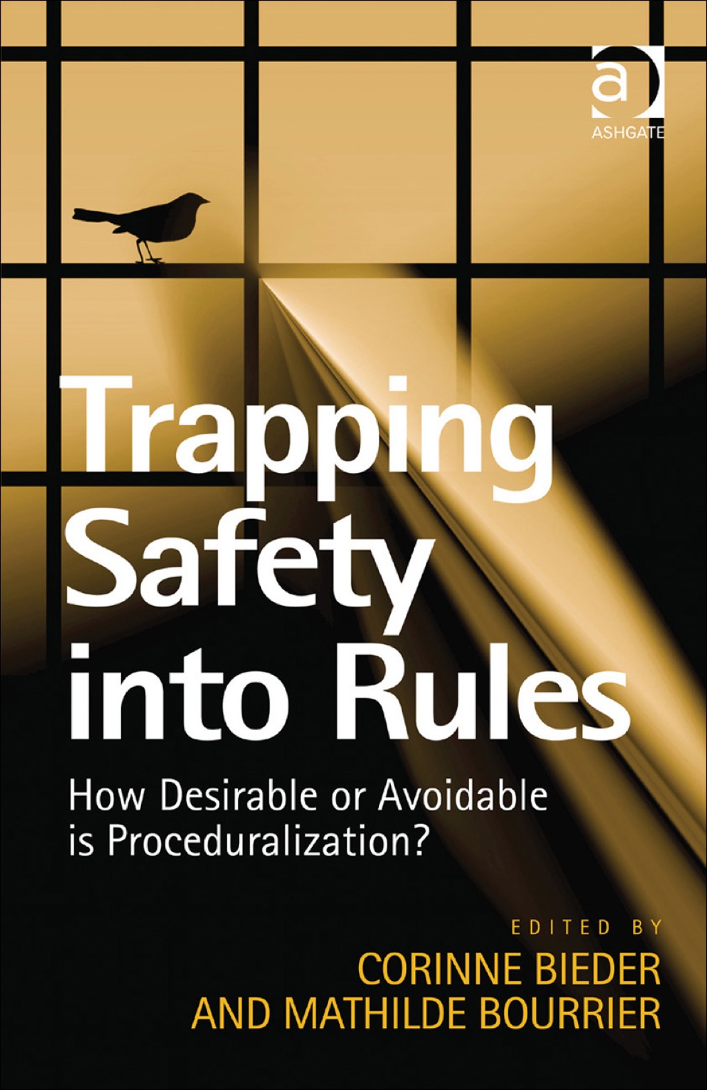 Trapping Safety into Rules 