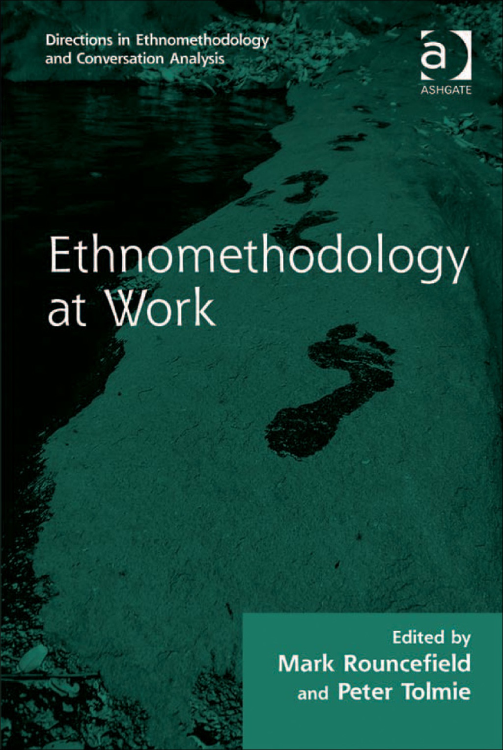 Ethnomethodology at Work 