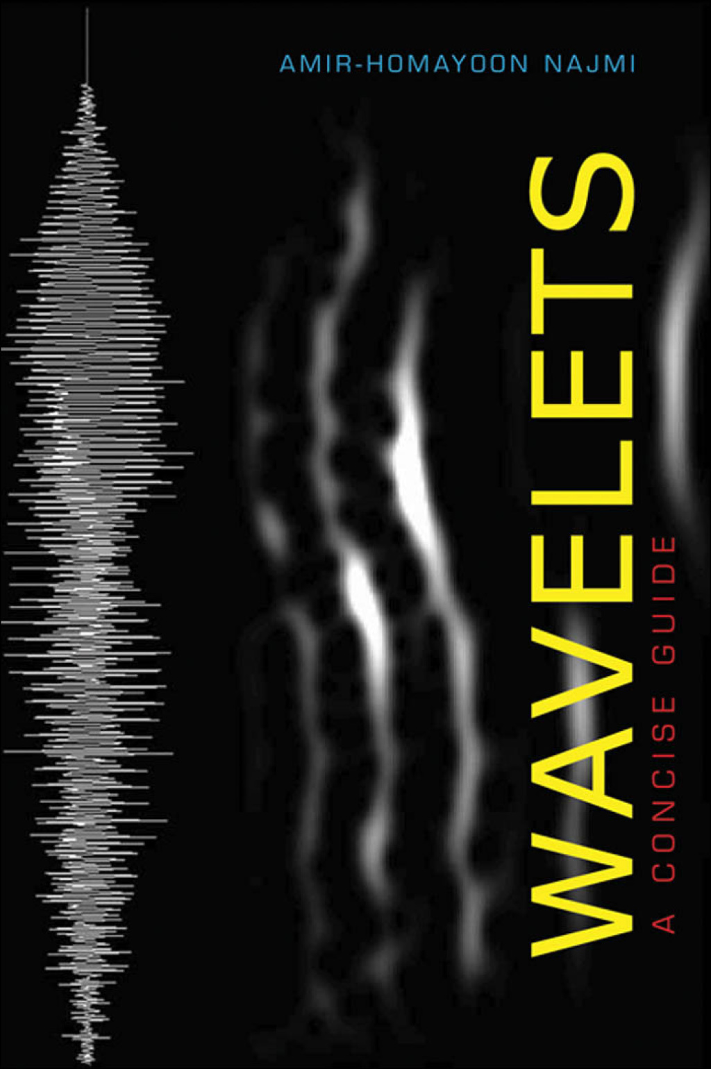 Wavelets A Concise Guide 