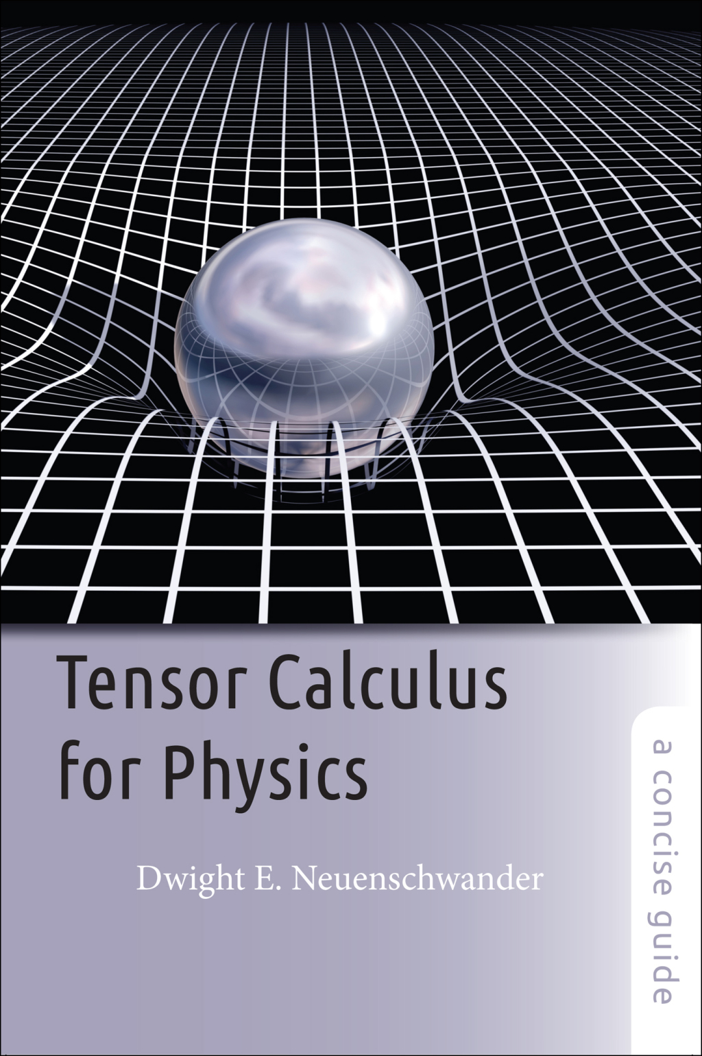 Tensor Calculus for Physics A Concise Guide 