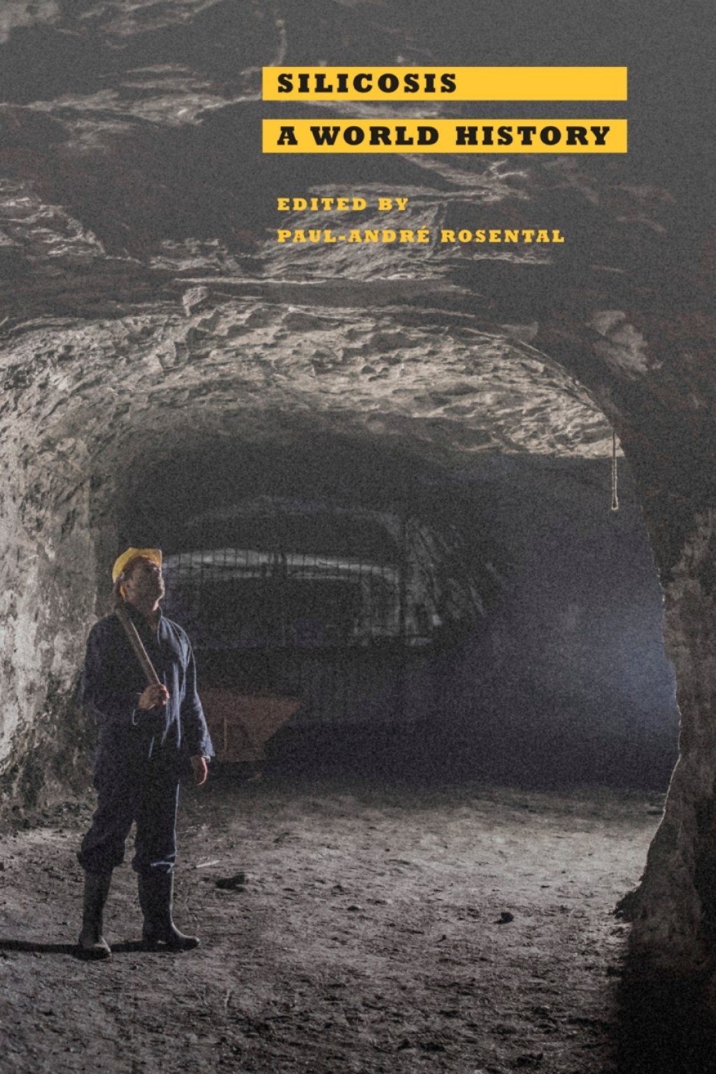 Silicosis A World History 