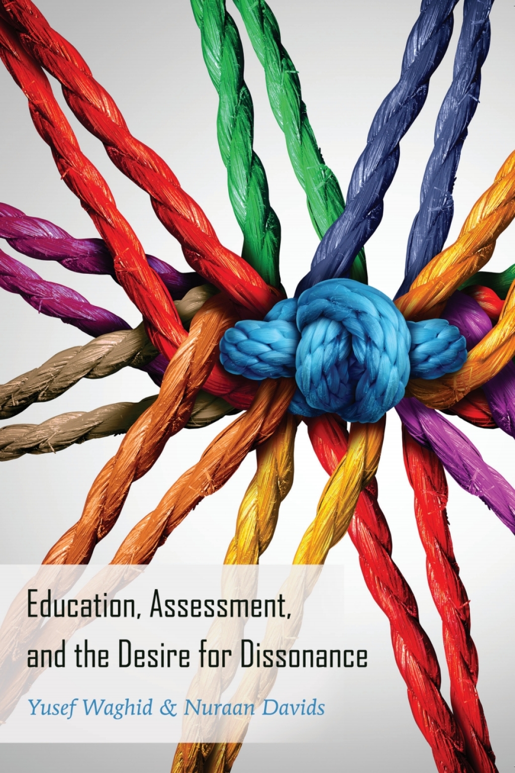 Education, Assessment, and the Desire for Dissonance 1st Edition