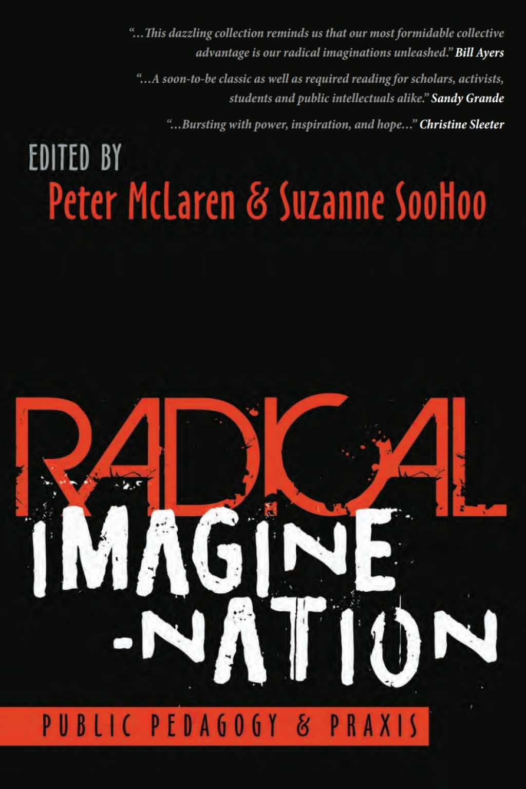 Radical Imagine-Nation Public Pedagogy & Praxis 1st Edition