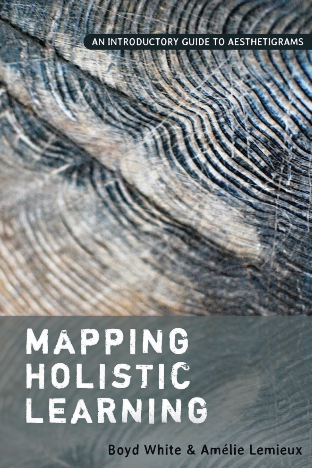 Mapping Holistic Learning An Introductory Guide to Aesthetigrams 1st Edition