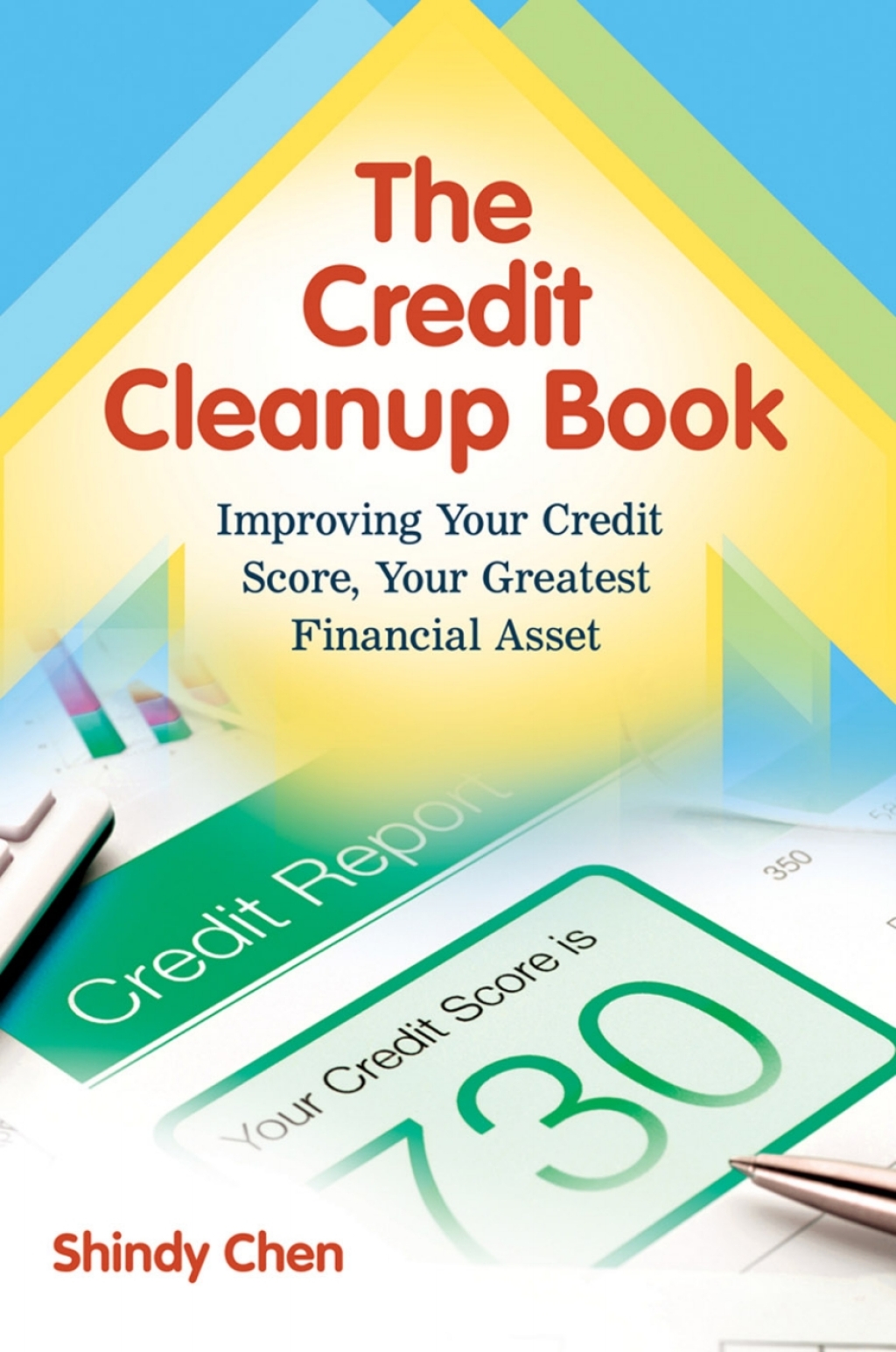 The Credit Cleanup Book Improving Your Credit Score, Your Greatest Financial Asset 1st Edition