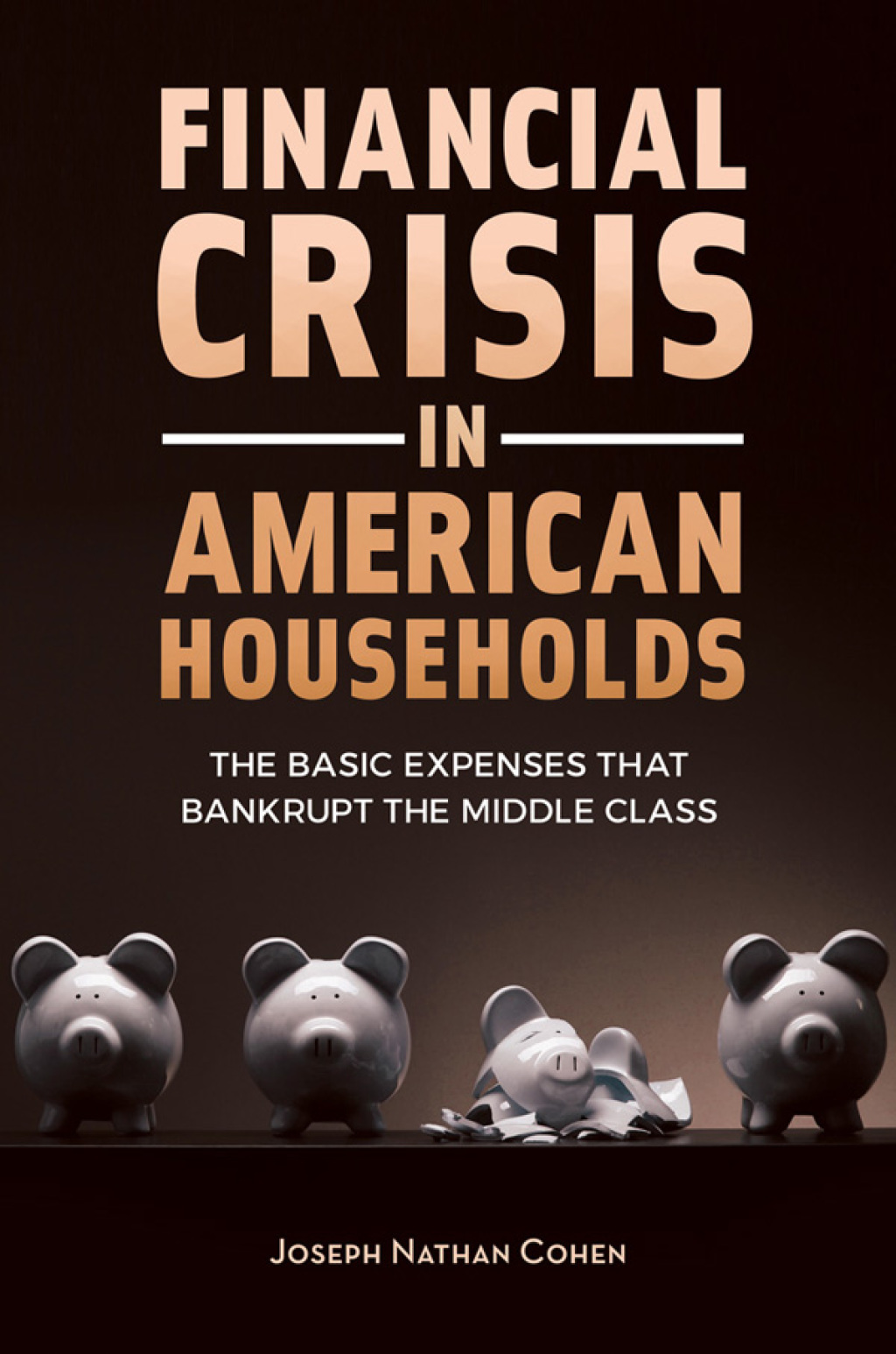 Financial Crisis in American Households The Basic Expenses That Bankrupt the Middle Class 1st Edition