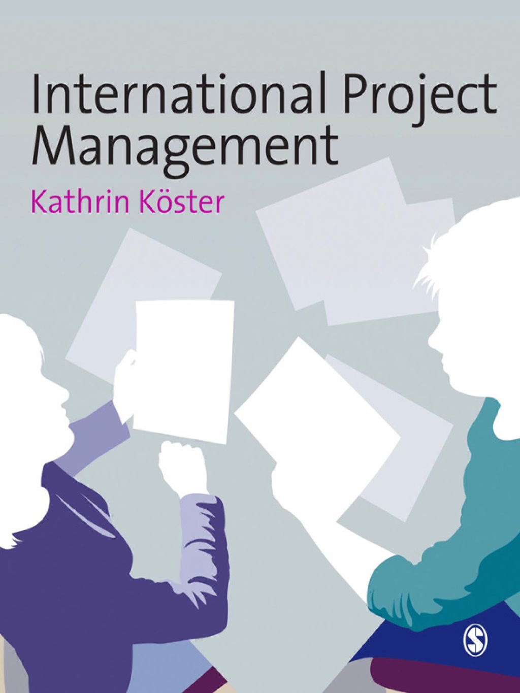 International Project Management 1st Edition