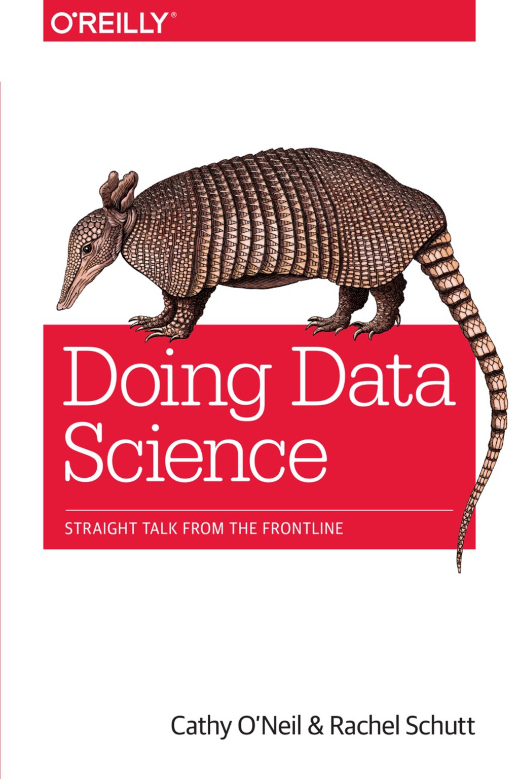 Doing Data Science Straight Talk from the Frontline 1st Edition