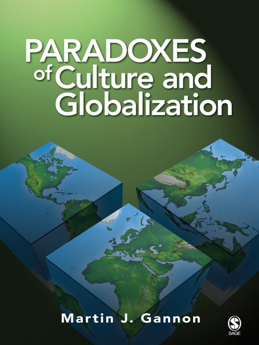 Paradoxes of Culture and Globalization 1st Edition