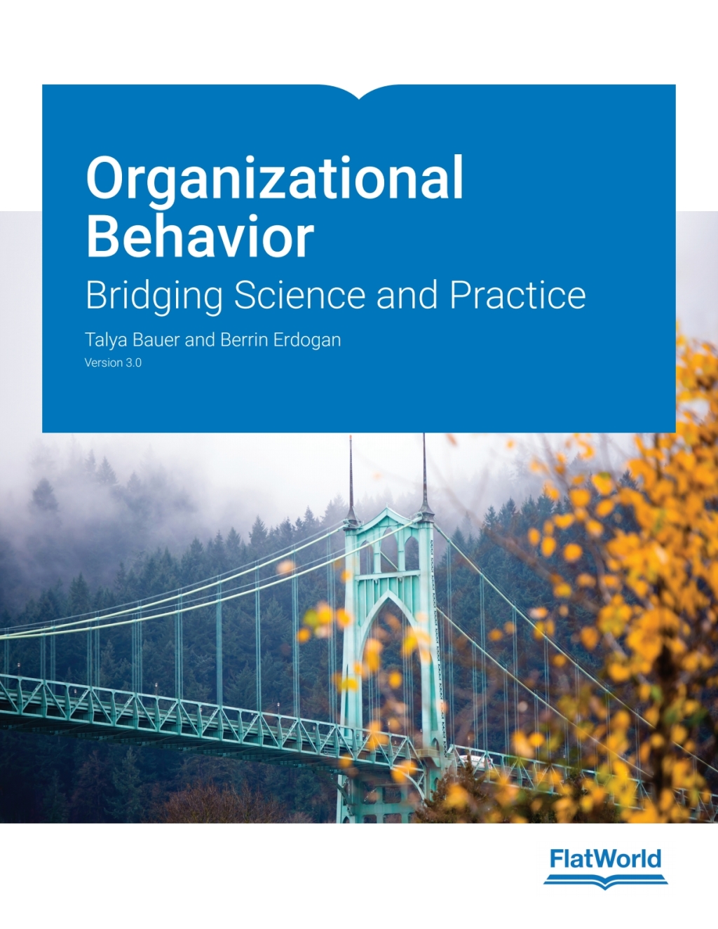 Organizational Behavior: Bridging Science and Practice v3.0 