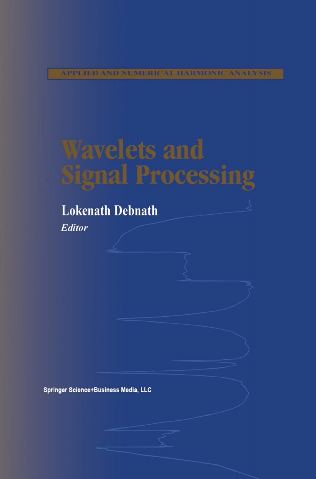 Wavelets and Signal Processing 1st Edition