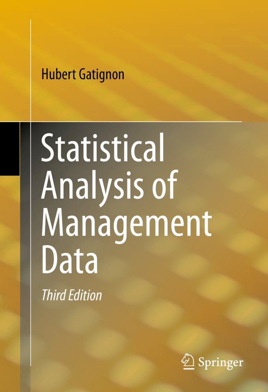 Statistical Analysis of Management Data 3rd Edition