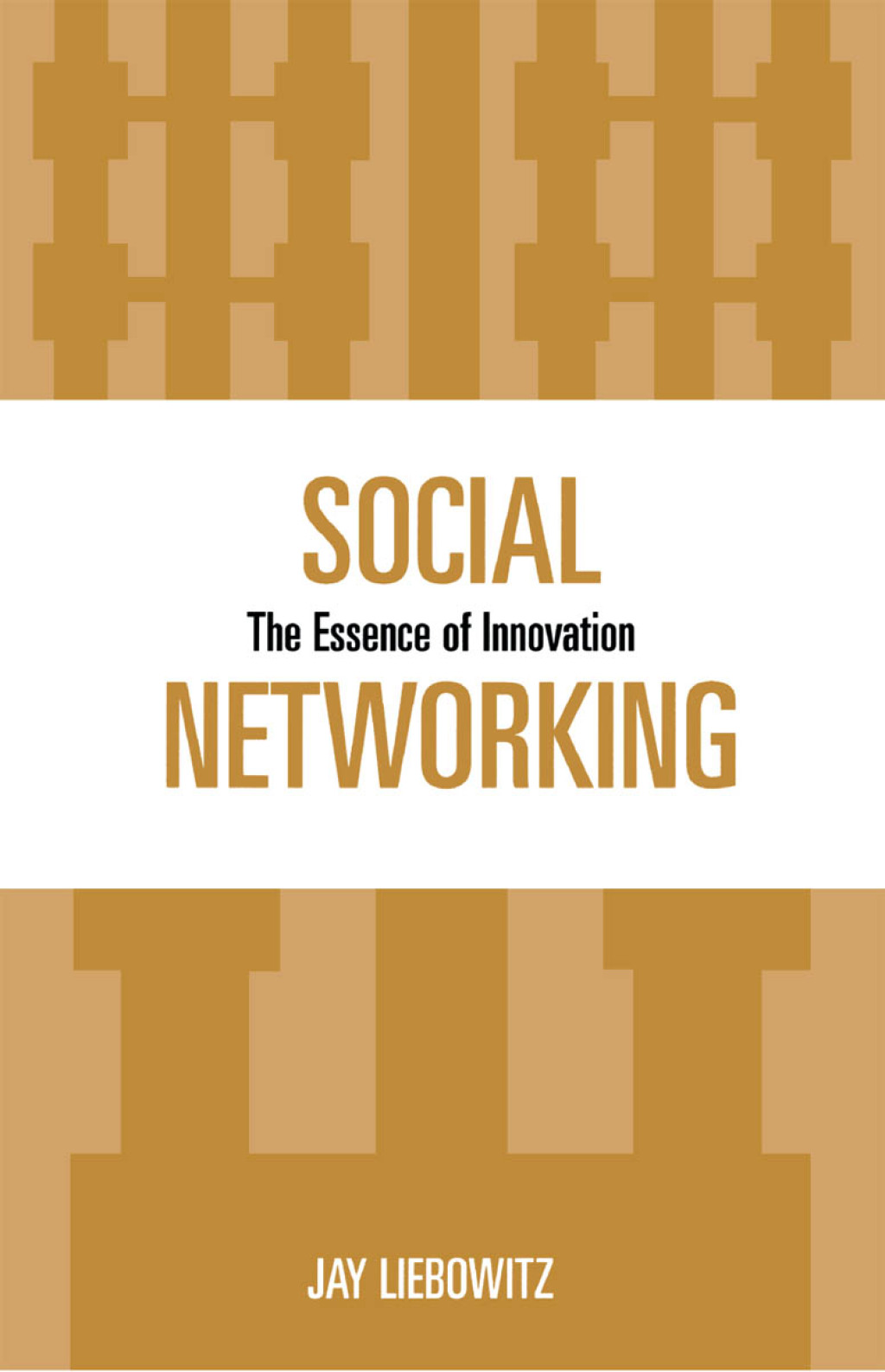 Social Networking The Essence of Innovation 