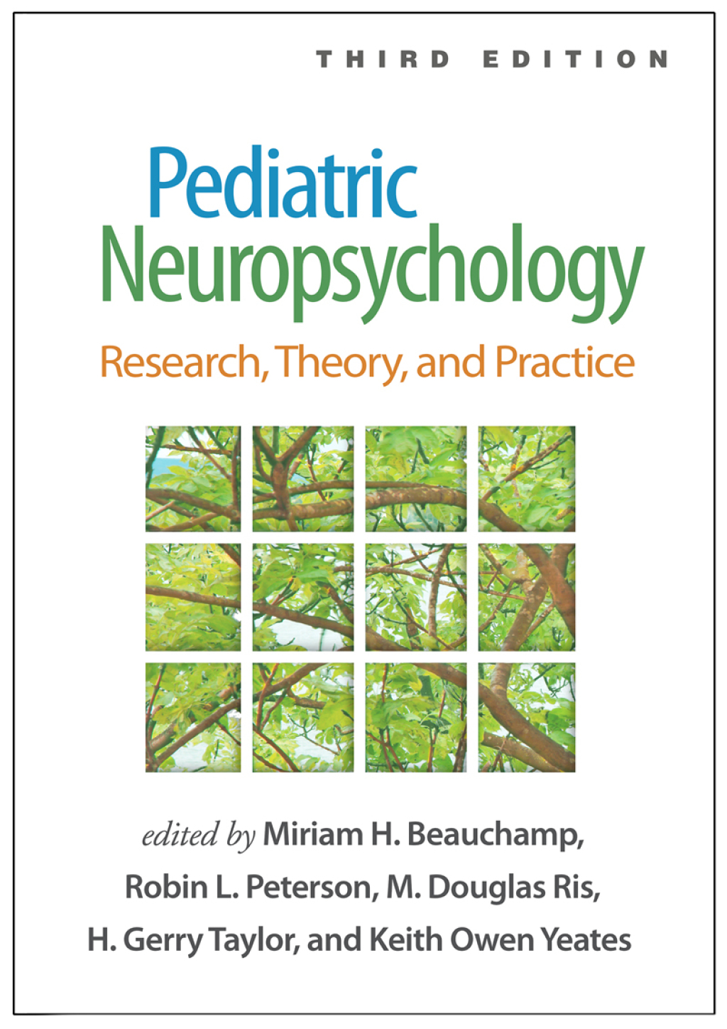 Pediatric Neuropsychology Research, Theory, and Practice 3rd Edition