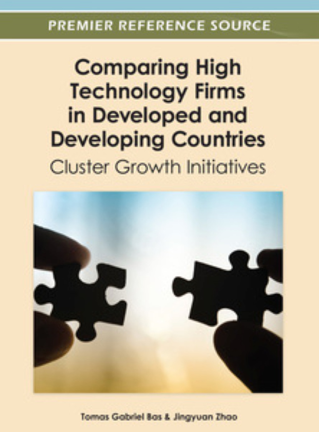 Comparing High Technology Firms in Developed and Developing Countries 
